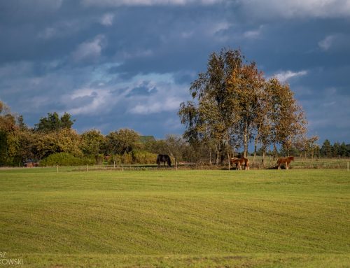 Suwalski Park Krajobrazowy – kilka zdjęć i faktów